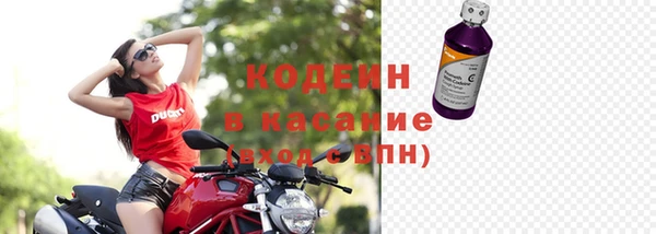 стафф Новодвинск
