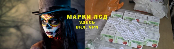 гашик Няндома