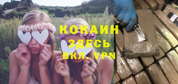 гашик Няндома