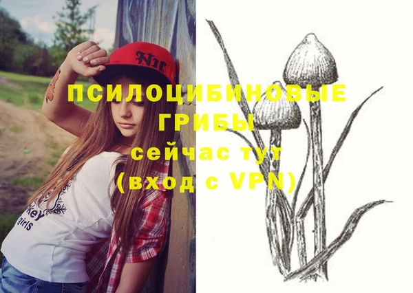 mix Новозыбков