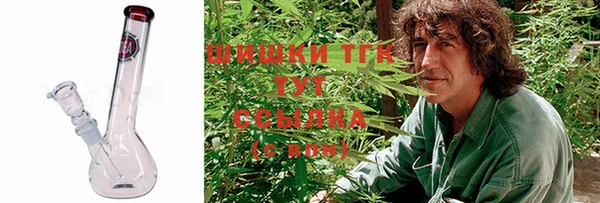 гашик Няндома