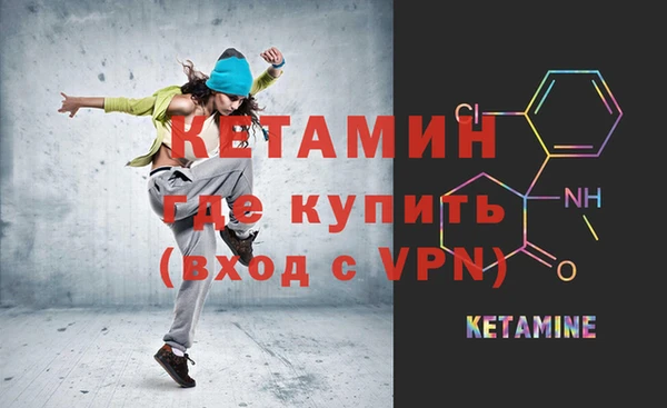 гашик Няндома